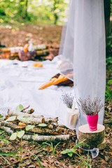 Picnic in the spring summer forest without people. Fresh bread and fruits.