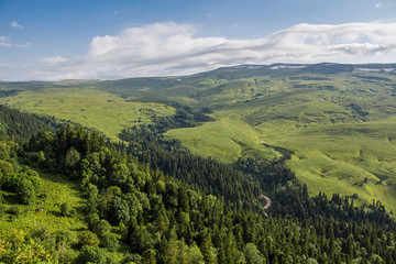 Fototapeta na wymiar Scenic landscape with mountain forest