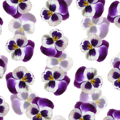 Obraz na płótnie Canvas Beautiful floral background of purple pansies 