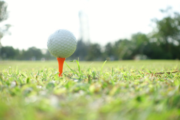 Close up of golf ball on t