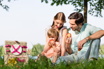Fototapeta premium Family having picnic at lake sitting on meadow