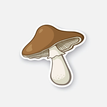 Vector illustration. Brown toadstool. Poisonous mushroom. Edible mushroom. Cartoon sticker in comic style with contour. Decoration for greeting cards, posters, patches, prints for clothes, emblems