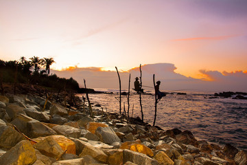 Silhouettes of the traditional Sri Lankan stilt fishermen at the sunset in Weligama, Sri Lanka. Stilt fishing is a method of fishing unique to the island country of Sri Lanka