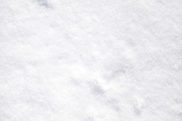 snow in the background