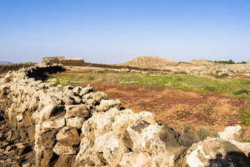 Classical dry farming on the Canary Island Fuerteventura. Fields fenced by classical stone walls.