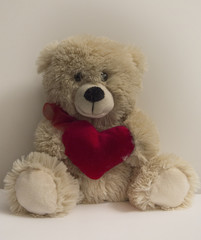 valentine bear