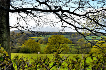 The English Countryside In Kent