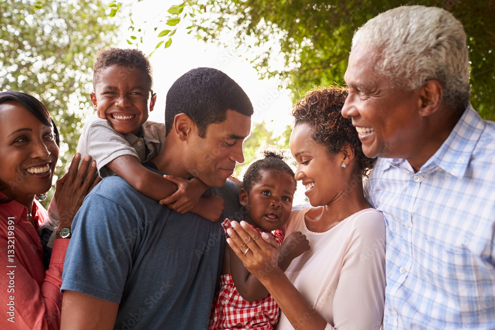 Wall mural multi generation black family look at each other in garden