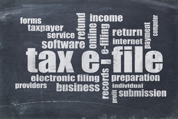 tax e-file word cloud