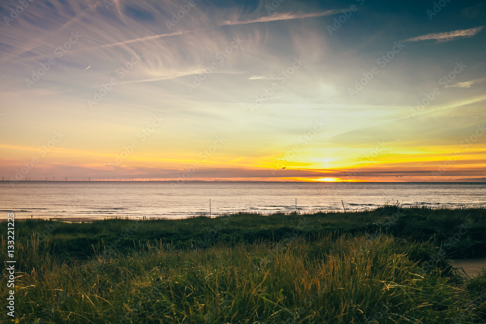 Wall mural sea netherlands sand lighthouse