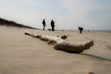 Plaża © Sandra