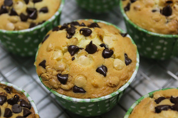 Homemade black and white chocolate chip cupcakes in green paper cupcake.
