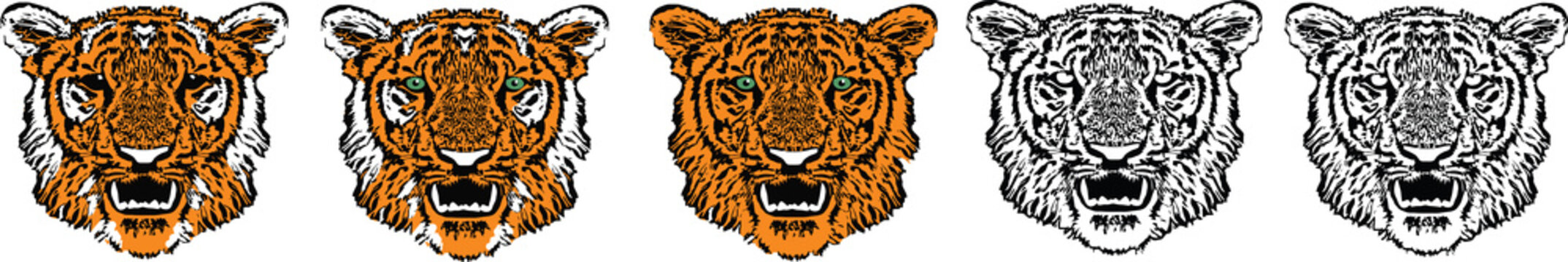 Five tigers close up, redhead, striped, black and white, transparent, green eyes on white background, isolated, vector