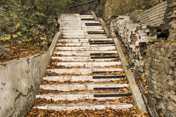 Abandoned stairs, are painted in the style of piano keys surrounded by autumn fallen yellow leaves...
