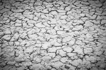 cracked ground