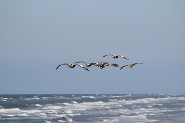 Outerbanks
