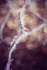 swirley bokeh ice crystal