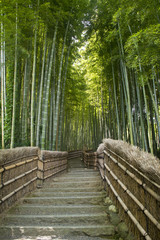 Bamboo path in Arashiyama, Kyoto, Japan