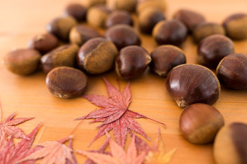 Chestnut and dried maple