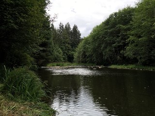 Nehalem River
