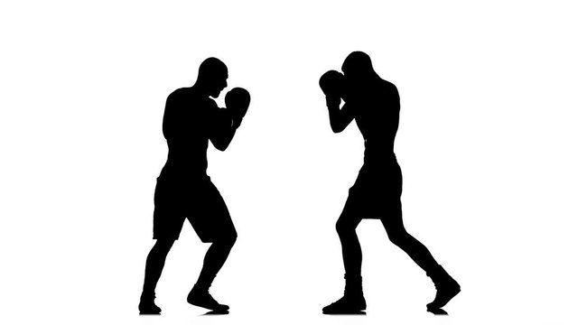 Two brawny athlete are boxing with each other. Silhouette