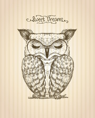 Sleeping owl hand drawn graphic illustration, front view