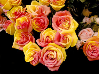 Roses bouquet