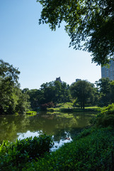 Fototapeta na wymiar Central Park natural landscape