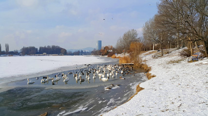 Winter an der OberenAltenDonau in Wien