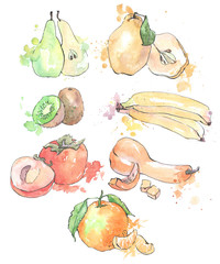 Set of fruits in watercolor style. Isolated.