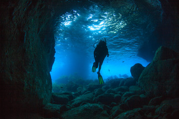 Scuba diver, Poor Knights Island, North Island, New Zealand 