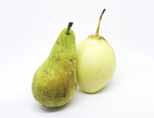 A Pair of Pears - Asian Pear and Conference Pear