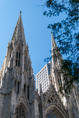St. Patrick's Cathedral towers, NYC