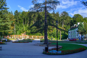 Park w Iwoniczu, Polska © Senatorek