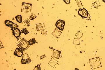 microscopic microcrystal background