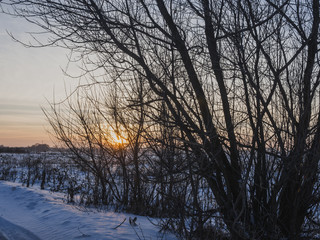 winter field at sunset