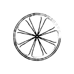 Lemon citric fruit icon vector illustration graphic design