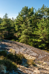 Fototapeta na wymiar Forest and rocks at Rörbäck Munkeby Uddevalla, Sweden