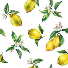 The seamless pattern of the branches of fresh citrus fruit lemons with green leaves and flowers. Hand drawn watercolor painting on white background.