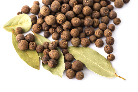 Allspice and Bay Laurel