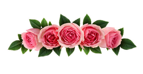 Naklejka premium Pink rose flowers arrangement