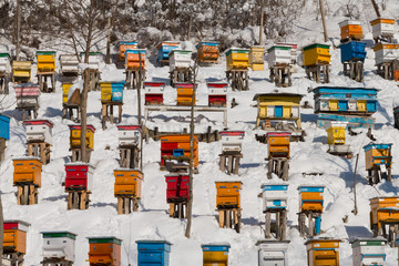Beehives in the winter, covered with deep snow. Colorful background texture