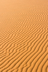 Fototapeta na wymiar Desert at Hassi Labiad near Merzouga, Morocco