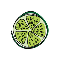 Lemon citric fruit icon vector illustration graphic design