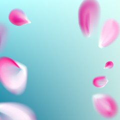 Pink blurred transparent vector petals on blue background. Falling isolated flower petals