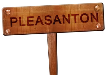 pleasanton road sign, 3D rendering