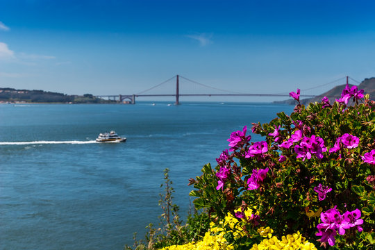 View of the Golden Gate Bridge from the Prisoner Gardens at Alcatraz, San Francisco, California