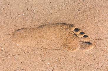 Fototapeta na wymiar Footprints in the sand at sunset , iztuzu beach