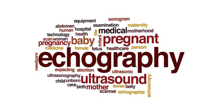 Echography animated word cloud.