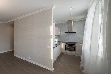 Modern contemporary interior. Kitchen.